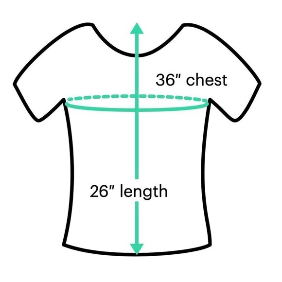 TRAFALUC by Zara Long Sleeve Off Shoulder White Blouse Size M - Picture 3 of 3